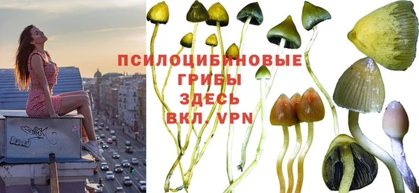 наркотики Богданович