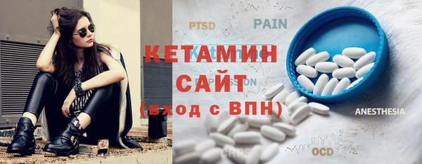 крисы Бородино