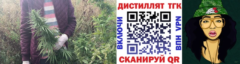 Дистиллят ТГК THC oil  Ильский 